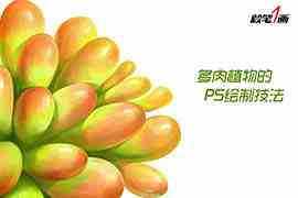 PS鼠绘小清新多肉植物插画教程
