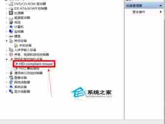移动鼠标将Windows7从熟睡中唤醒的避免方法