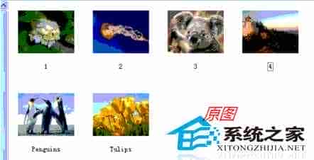 WinXP缩略图显示异常的原因及解决方法