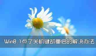 win8.1关机变重启怎么办？Win8.1点了关机键却重启的解决办法介绍