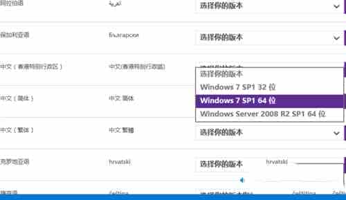 XP系统安装不了ie提示“安装了更新的Internet Explorer版本”的原因及解决办法