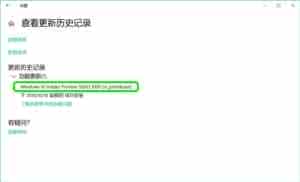 Win10 19H1跳跃预览版18267怎么手动升级?