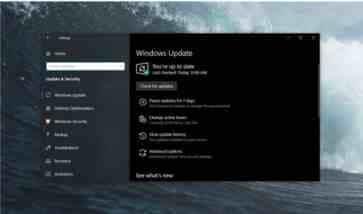微软2019 Win10更新五月版正式版推送(最低配置需求公布)