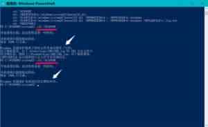 Win10 20H1快速预览版18917怎么手动更新升级?