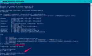 Win10 20H1快速预览版18922怎么手动更新升级?
