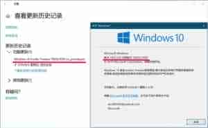 Win10 20H1快速预览版18965怎么手动更新?