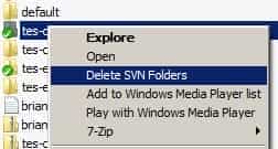 Windows下.svn文件夹的最简易删除方法
