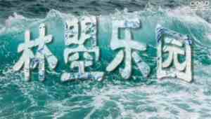 PS怎么在水中的文字的效果?