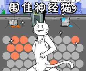 为什么神经猫在微信这么火?贱猫爆红的原因解析