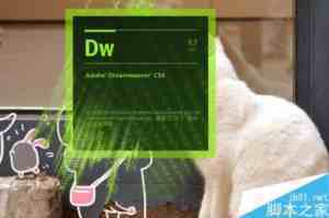 在Dreamvear中如何创建html5网页?