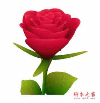 HTML5 canvas绘制的玫瑰花效果