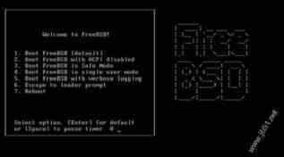 FreeBSD 8.0 安装教程图文详解