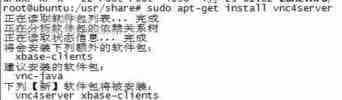 ubuntu下安装VNC远程桌面的详细步骤