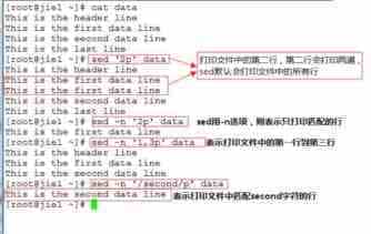 轻松学会文本处理工具之二 linux sed命令