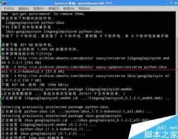 ubuntu13.10怎么安装使用google输入法？