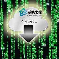 Linux系统中下载文件的wget命令操作实例