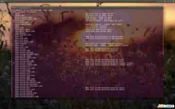 Linux折腾记（十九）：虚拟机体验之QEMU篇