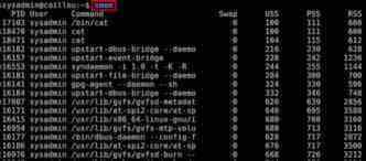 在Linux中可视化显示内存占用情况的方法