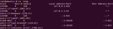 Linux中使用ss命令检查网络连接的方法