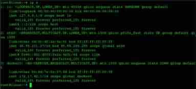 Docker的一些基础的网络命令小结 