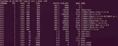 Linux lsof 命令使用详细说明
