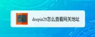 deepin20网关地址怎么设置? deepin修改网关地址的方法