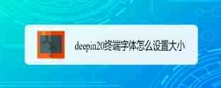 deepin20系统字体怎么设置? deepin终端字体大小的设置方法