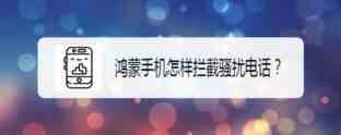 鸿蒙怎么进行骚扰电话拦截? 鸿蒙手机设置拦截骚扰电话的方法