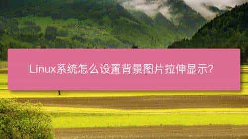 Linux桌面背景怎么设置为图片拉伸显示?