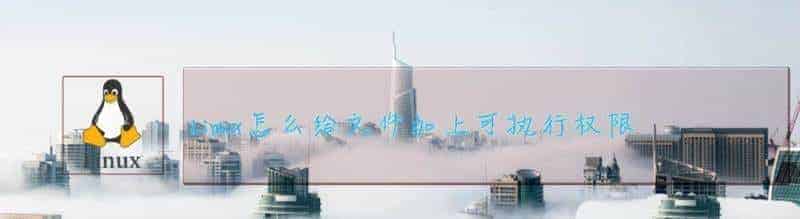 Linux如何给文件权限? linux给文件添加可执行权限的技巧